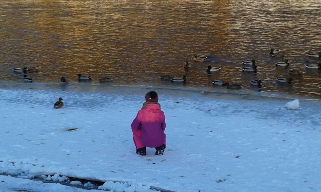 Ubytovanie Sokolica Červený Kláštor Buitenkant foto