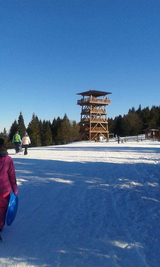 Ubytovanie Sokolica Červený Kláštor Buitenkant foto